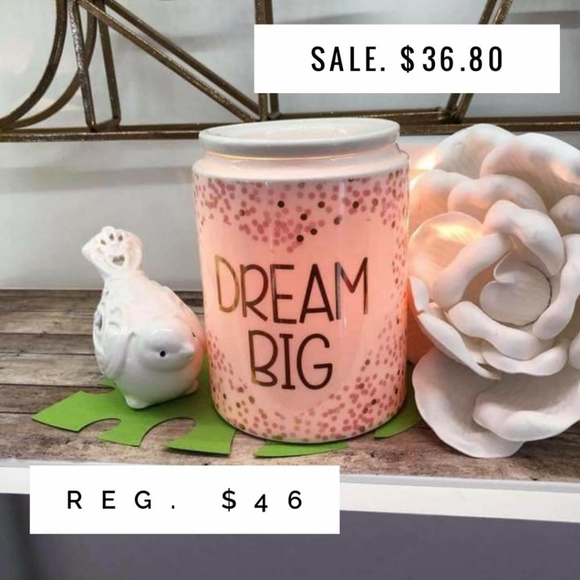 Scentsy products - Picture 13 of 16